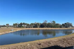 10026 Hidden Hammock Loop, Parrish, FL 34219 - Photo 33