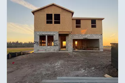 2915 Citrus Grove Street, Wimauma, FL 33598 - Photo 5