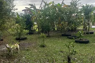 24 Hammons Way, Frostproof, FL 33843 - Photo 11