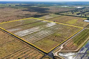 N River Rd, Alva, FL 33920 - Photo 3