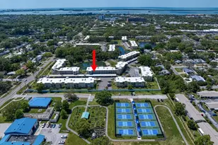 948 Virginia St, Dunedin, FL 34698 - Photo 3