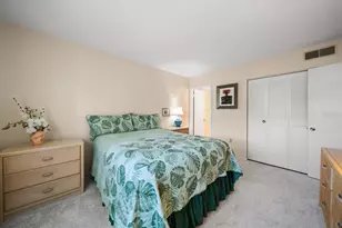 948 Virginia St, Dunedin, FL 34698 - Photo 19