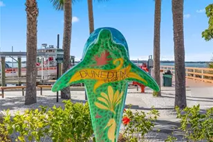 101 Shore Dr, Dunedin, FL 34698 - Photo 77