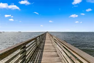 101 Shore Dr, Dunedin, FL 34698 - Photo 85