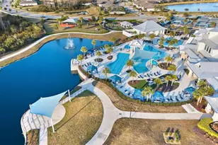 5957 Shorebird Br, Land O Lakes, FL 34638 - Photo 43