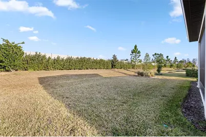 5957 Shorebird Branch, Land O Lakes, FL 34638 - Photo 33