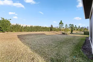 5957 Shorebird Br, Land O Lakes, FL 34638 - Photo 33