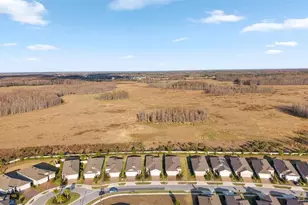 5957 Shorebird Br, Land O Lakes, FL 34638 - Photo 49