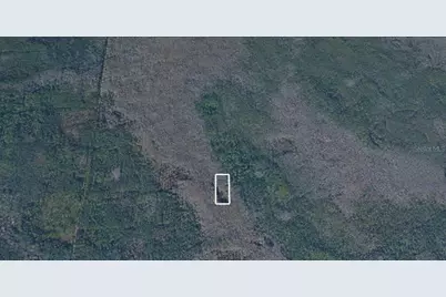 No Street, Lake Helen, FL 32744 - Photo 5