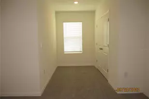 33062 Frosted Clover Wy, Wesley Chapel, FL 33545 - Photo 37