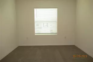 33062 Frosted Clover Wy, Wesley Chapel, FL 33545 - Photo 31