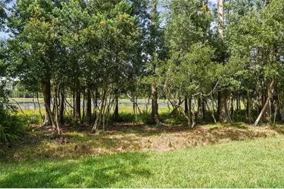 21511 Wilderness Lake Boulevard, Land O Lakes, FL 34637 - Photo 71