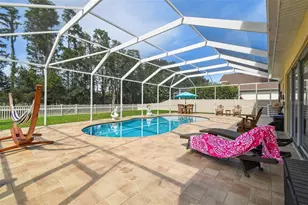 21511 Wilderness Lake Blvd, Land O Lakes, FL 34637 - Photo 9