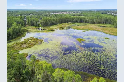 21511 Wilderness Lake Boulevard, Land O Lakes, FL 34637 - Photo 69