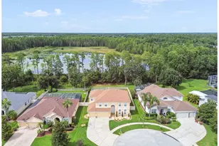 21511 Wilderness Lake Blvd, Land O Lakes, FL 34637 - Photo 81