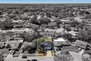 14310 Promontory Point Pl, Tampa, FL 33625 - Photo 41