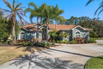 103 Silver Moss Lane, Tarpon Springs, FL 34688 - Photo 1