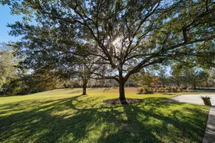 103 Silver Moss Ln, Tarpon Springs, FL 34688 - Photo 61