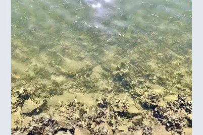 4678 Marine Parkway #305, New Port Richey, FL 34652 - Photo 35