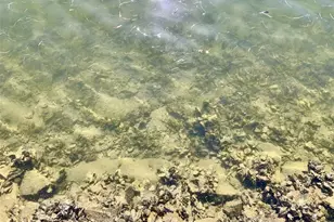 4678 Marine Pkwy, New Port Richey, FL 34652 - Photo 35