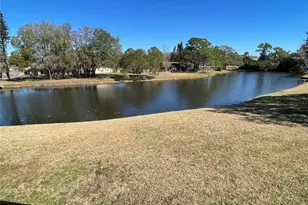 129 Camphor Cir, Oldsmar, FL 34677 - Photo 23