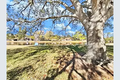 129 Camphor Circle #C, Oldsmar, FL 34677 - Photo 43