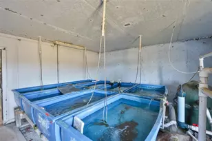 20112 Hobbs Rd, Wimauma, FL 33598 - Photo 79