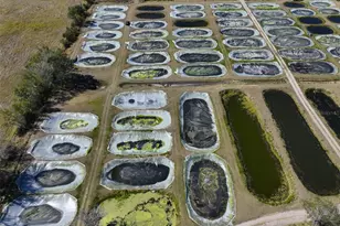 20112 Hobbs Rd, Wimauma, FL 33598 - Photo 85