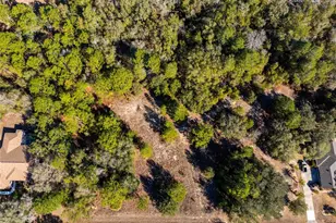 1737 E Westgate Ln, Hernando, FL 34442 - Photo 1