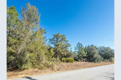 1737 E Westgate Lane, Hernando, FL 34442 - Photo 9