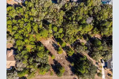 1737 E Westgate Lane, Hernando, FL 34442 - Photo 3