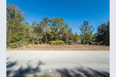 1737 E Westgate Lane, Hernando, FL 34442 - Photo 11