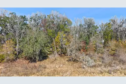 23126 Fitzhugh Avenue, Brooksville, FL 34601 - Photo 7