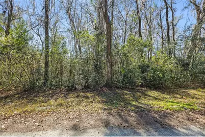 23126 Fitzhugh Avenue, Brooksville, FL 34601 - Photo 3