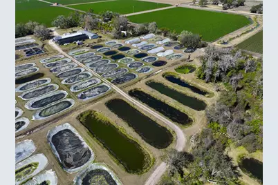 20112 Hobbs Road, Wimauma, FL 33598 - Photo 61