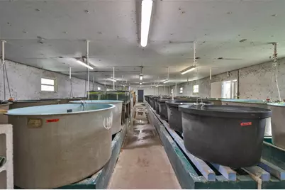 20112 Hobbs Road, Wimauma, FL 33598 - Photo 81