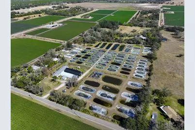 20112 Hobbs Road, Wimauma, FL 33598 - Photo 5