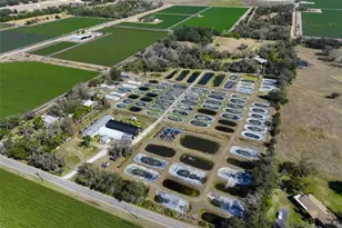 20112 Hobbs Rd, Wimauma, FL 33598 - Photo 5