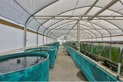 20112 Hobbs Road, Wimauma, FL 33598 - Photo 29