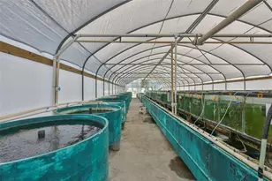 20112 Hobbs Rd, Wimauma, FL 33598 - Photo 29