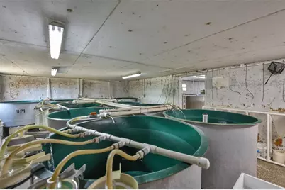 20112 Hobbs Road, Wimauma, FL 33598 - Photo 23