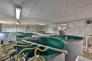 20112 Hobbs Rd, Wimauma, FL 33598 - Photo 23