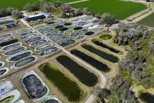 20112 Hobbs Rd, Wimauma, FL 33598 - Photo 17