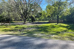 6665 Angus Valley Dr, Wesley Chapel, FL 33544 - Photo 1