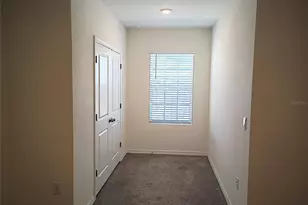 34346 Redwood Dawn Ln, Wesley Chapel, FL 33543 - Photo 43