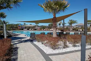 34346 Redwood Dawn Ln, Wesley Chapel, FL 33543 - Photo 59