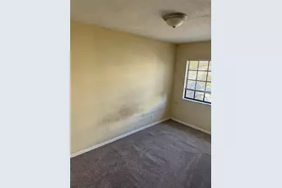 4421 Cobia Drive, Tampa, FL 33617 - Photo 11