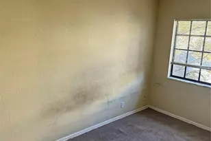 4421 Cobia Dr, Tampa, FL 33617 - Photo 11