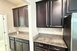 11017 Purple Martin Blvd, Riverview, FL 33579 - Photo 11