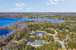 17720 Royal Eagle Ln, Lutz, FL 33549 - Photo 81